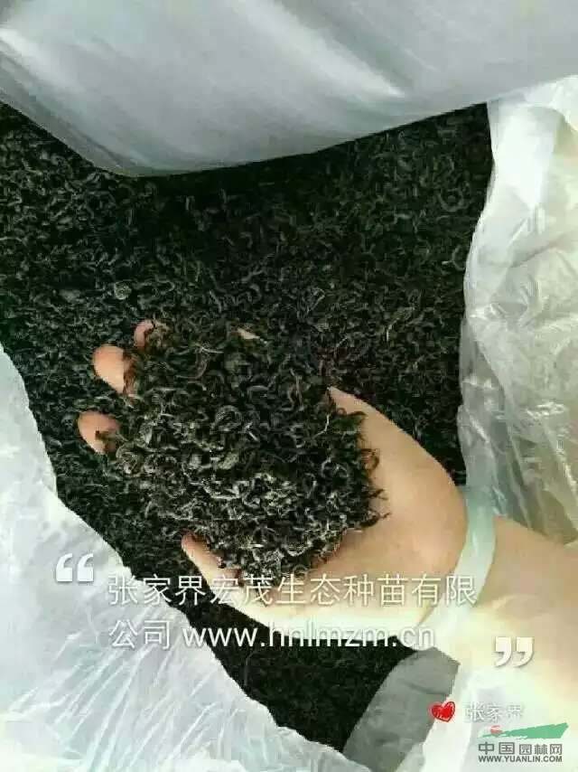 我所说的不是“骇人听闻”也不是“危言耸听