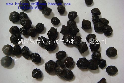 严把种子质量关，我公司对每批入库的种子都