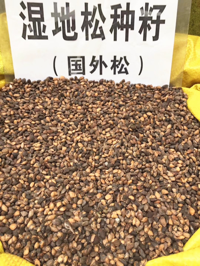 微信图片_20191209092005.jpg